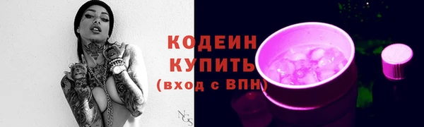 индика Нефтекумск
