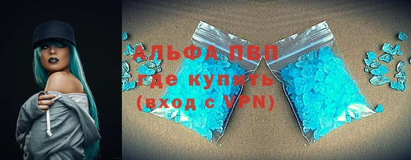 амф Удомля